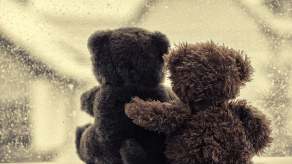 Friends