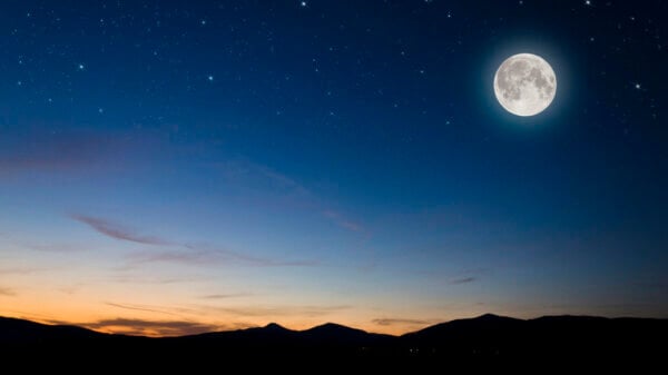 Night